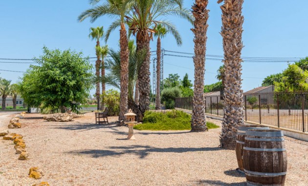 Venta - Finca / Country Property -
Catral