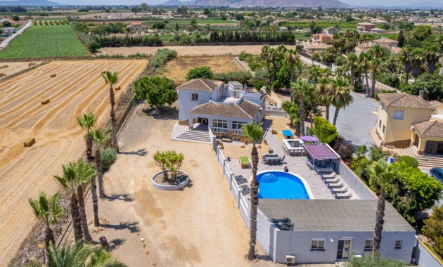 Venta - Finca / Country Property -
Catral