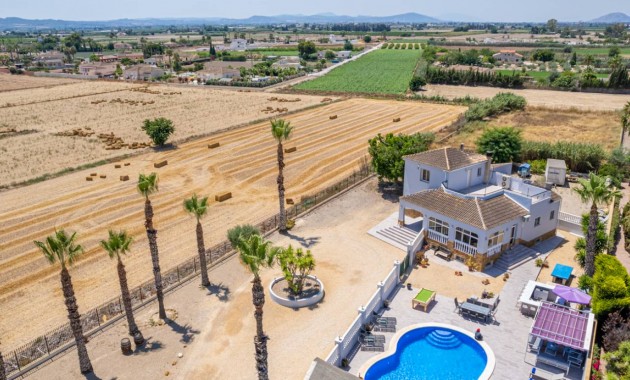 Venta - Finca / Country Property -
Catral