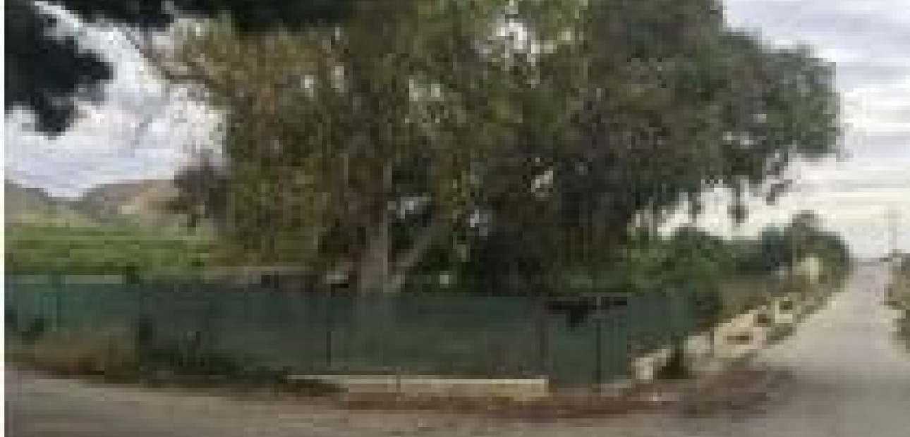 Venta - Country land -
Jacarilla - Comunidad valenciana