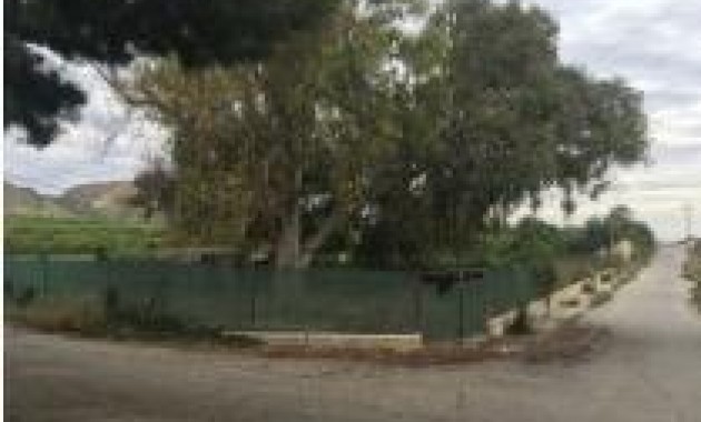 Venta - Country land -
Jacarilla - Comunidad valenciana