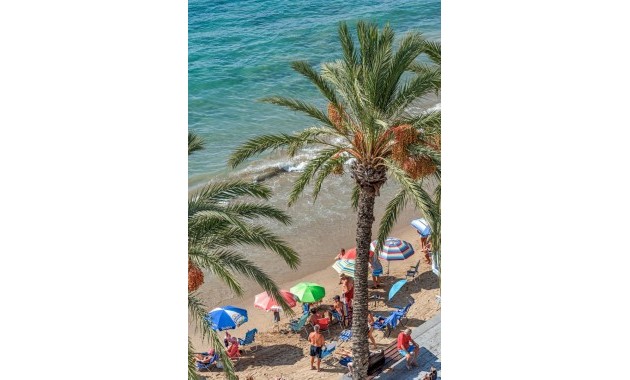 Herverkoop - Appartement / flat -
Torrevieja