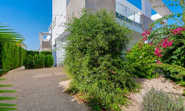 Venta - Semi Detached Villa -
Ciudad Quesada - Doña Pepa