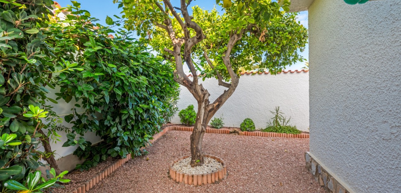 Venta - Detached Villa -
Ciudad Quesada - Rojales - Rojales