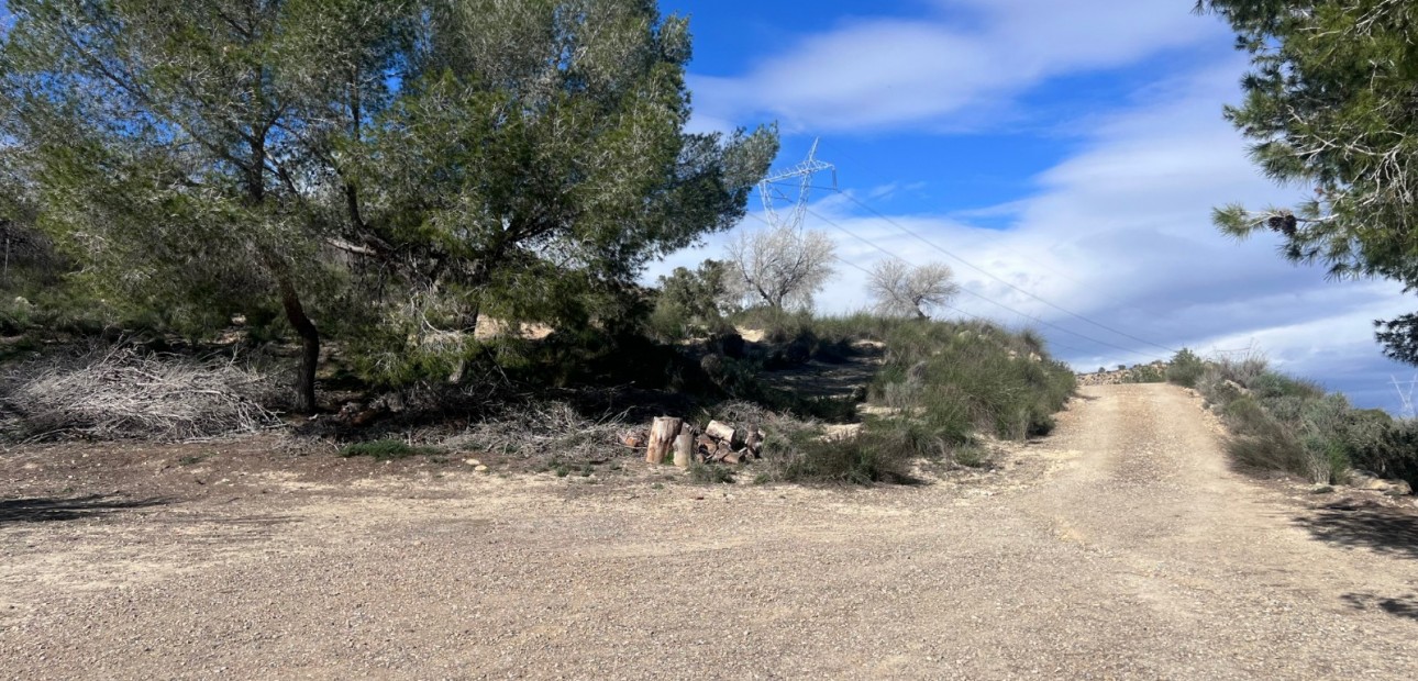 Sale - Country Property/Finca -
Torremendo