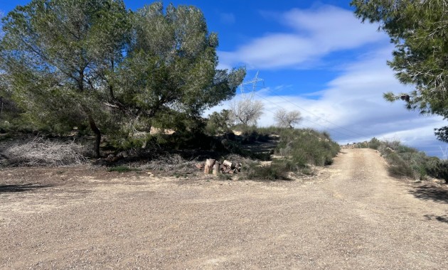 Sale - Country Property/Finca -
Torremendo