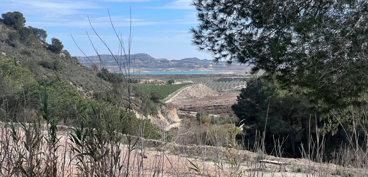 Sale - Country Property/Finca -
Torremendo