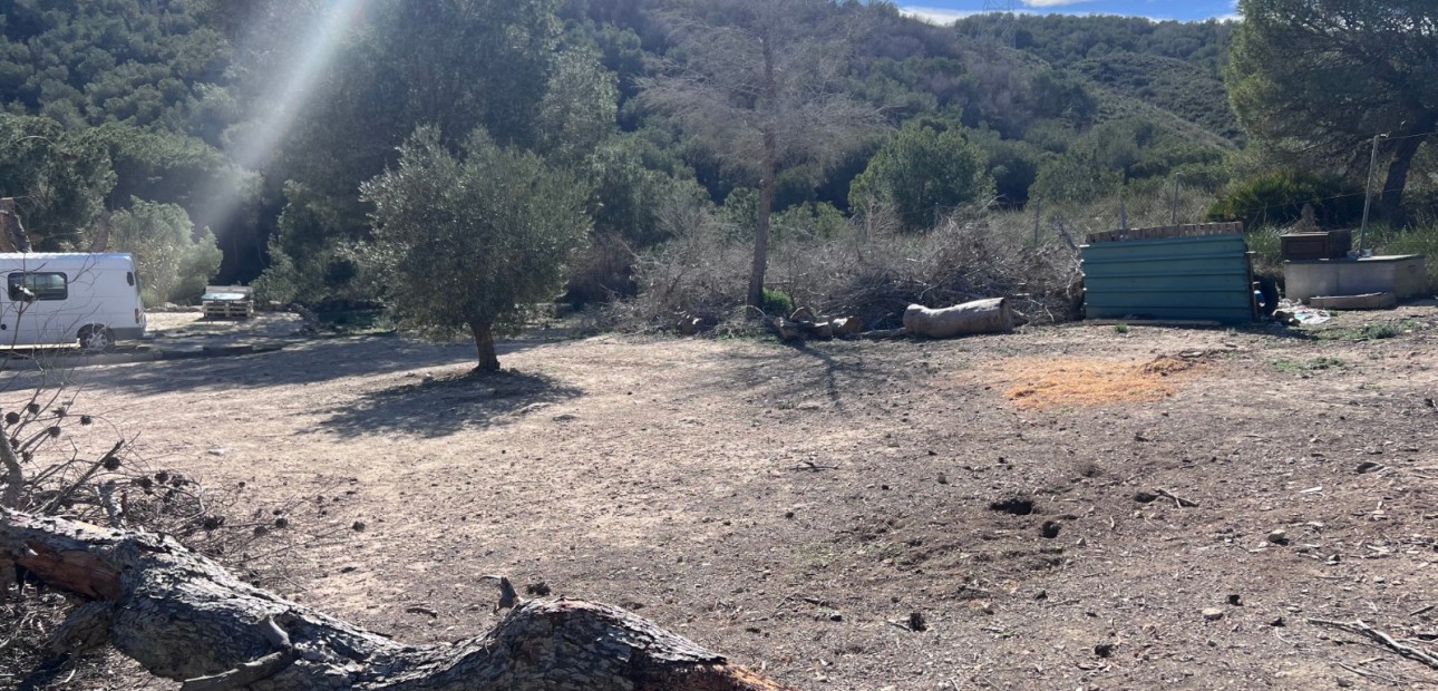 Sale - Country Property/Finca -
Torremendo