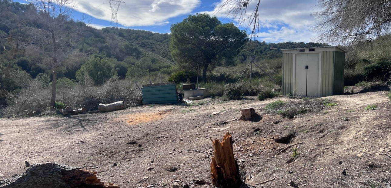 Sale - Country Property/Finca -
Torremendo