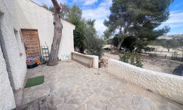 Sale - Country Property/Finca -
Torremendo