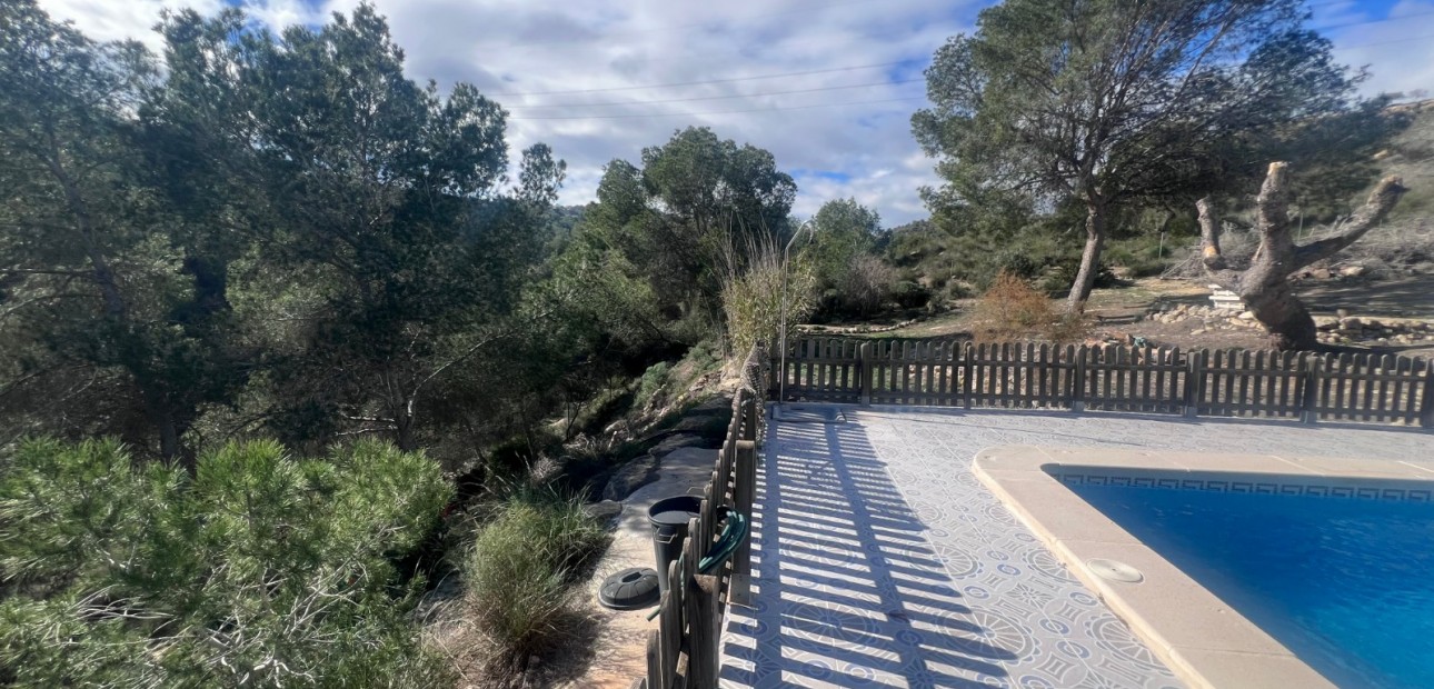 Sale - Country Property/Finca -
Torremendo