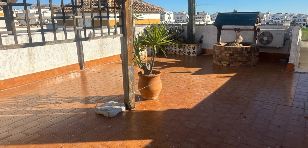 Venta - Apartamento / piso -
Orihuela - Entre Naranjos Vistabella