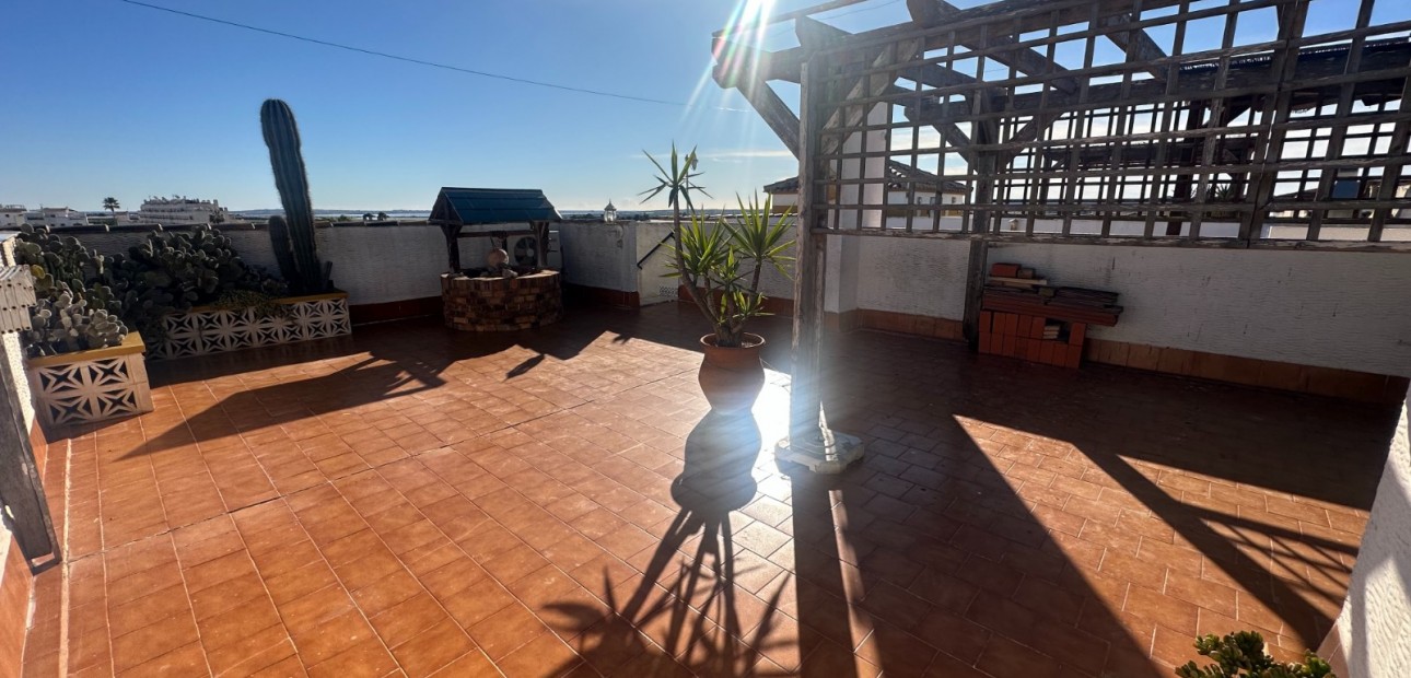 Venta - Apartamento / piso -
Orihuela - Entre Naranjos Vistabella