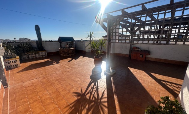 Venta - Apartamento / piso -
Orihuela - Entre Naranjos Vistabella