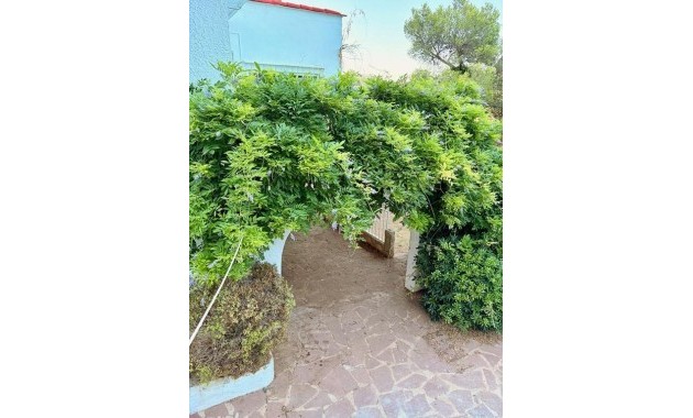 Venta - Villa -
Gandia - Urbanizaciones