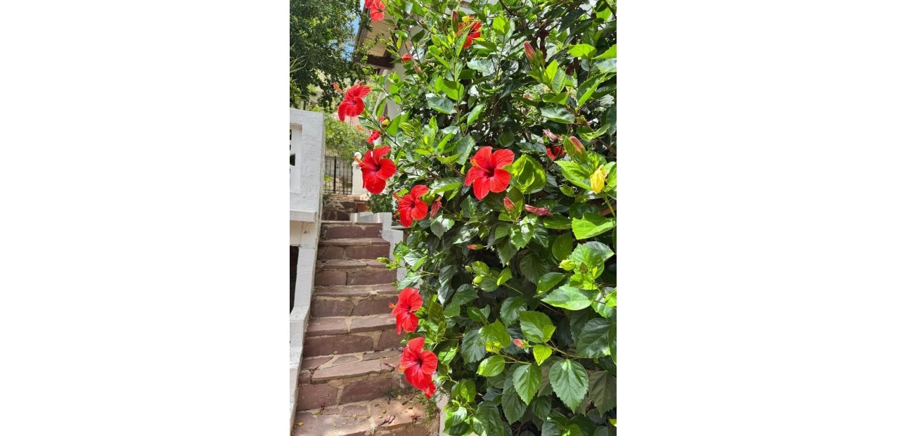 Venta - Villa -
Gandia - Urbanizaciones