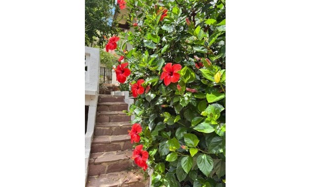 Venta - Villa -
Gandia - Urbanizaciones