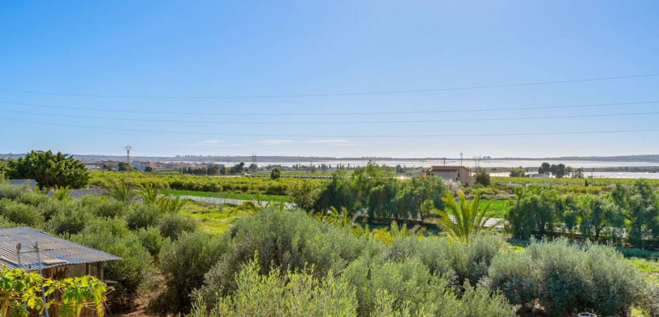 Venta - Finca / Country Property -
Los Montesinos