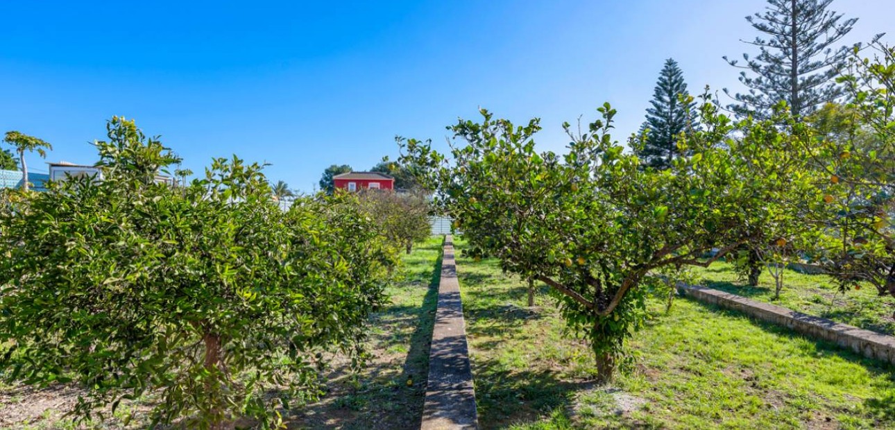 Venta - Finca / Country Property -
Los Montesinos