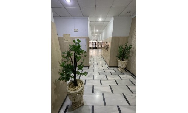 Venta - Ático -
Torrevieja - La Mata pueblo