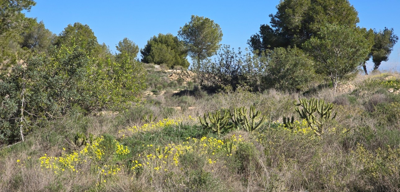 Venta - Apartamento / piso -
Orihuela Costa - Villamartin