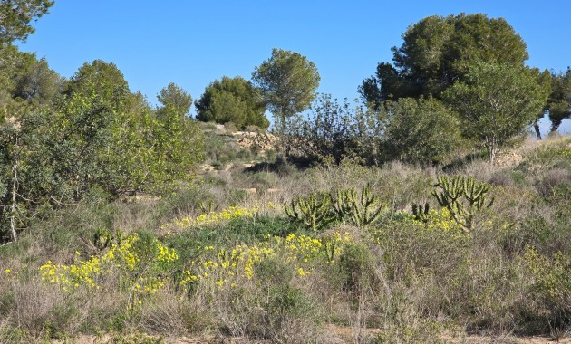 Venta - Apartamento / piso -
Orihuela Costa - Villamartin