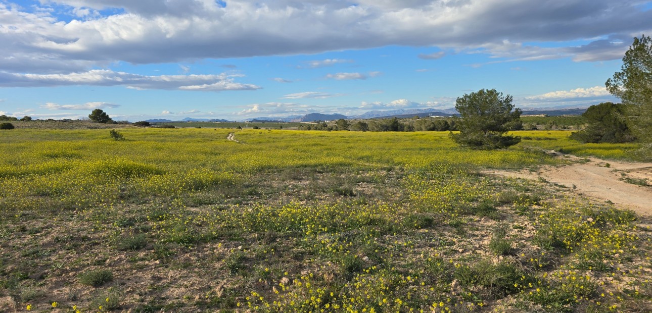 Venta - Apartamento / piso -
Orihuela Costa - Villamartin