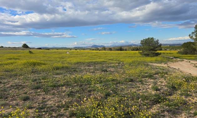 Venta - Apartamento / piso -
Orihuela Costa - Villamartin