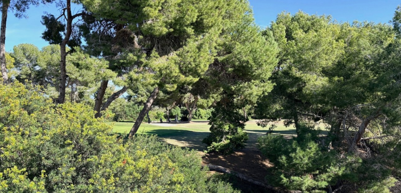 Sale - Single Family Home -
Orihuela Costa - Las Filipinas