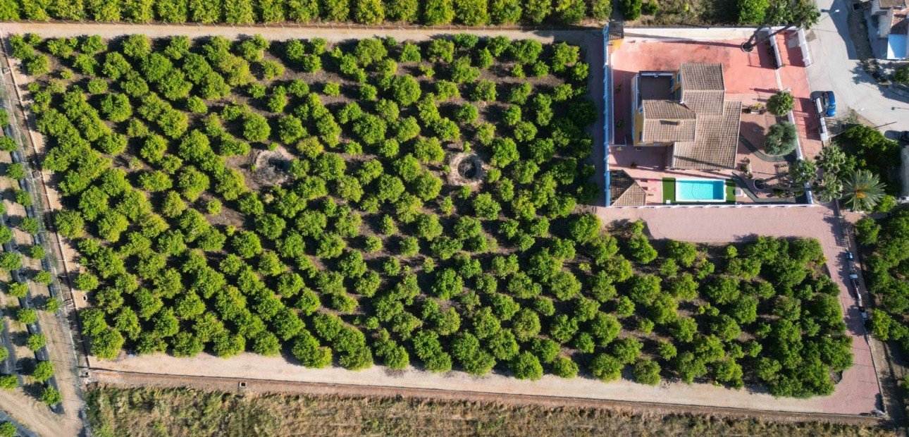 Herverkoop - Finca / Country Property -
Orihuela