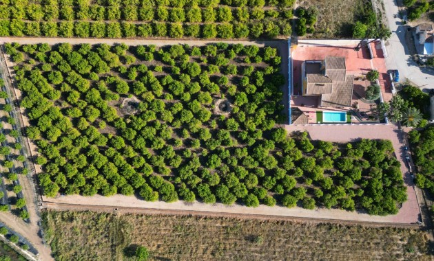 Herverkoop - Finca / Country Property -
Orihuela