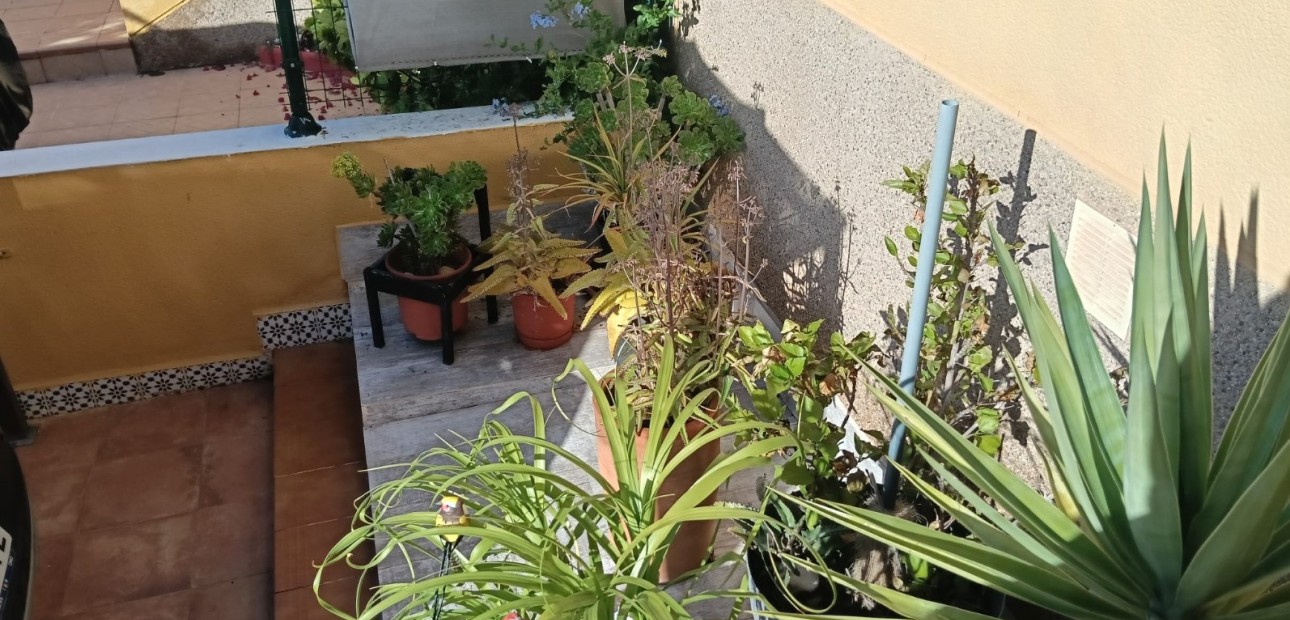 Sale - Apartment flat -
Los Montesinos - La herrada