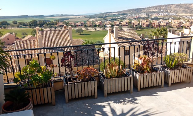 Venta - Adosado -
Algorfa - La Finca Golf Resort