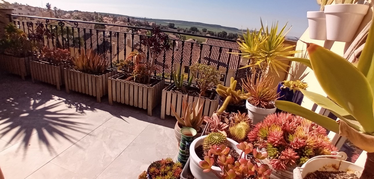 Venta - Adosado -
Algorfa - La Finca Golf Resort