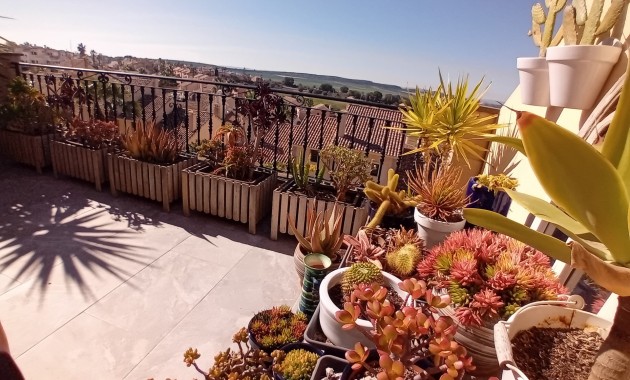 Venta - Adosado -
Algorfa - La Finca Golf Resort