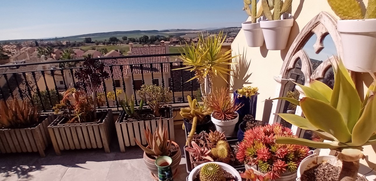 Venta - Adosado -
Algorfa - La Finca Golf Resort