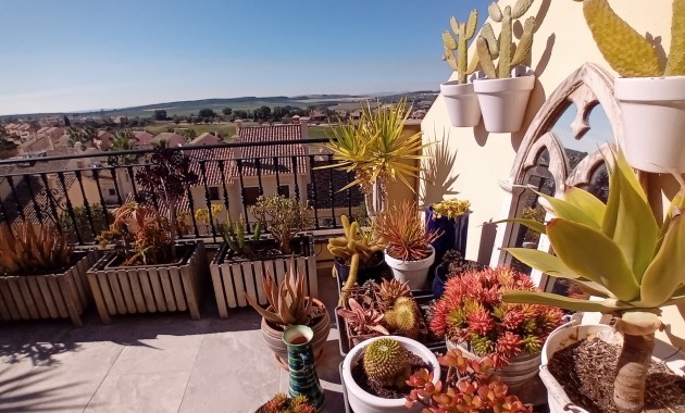 Venta - Adosado -
Algorfa - La Finca Golf Resort