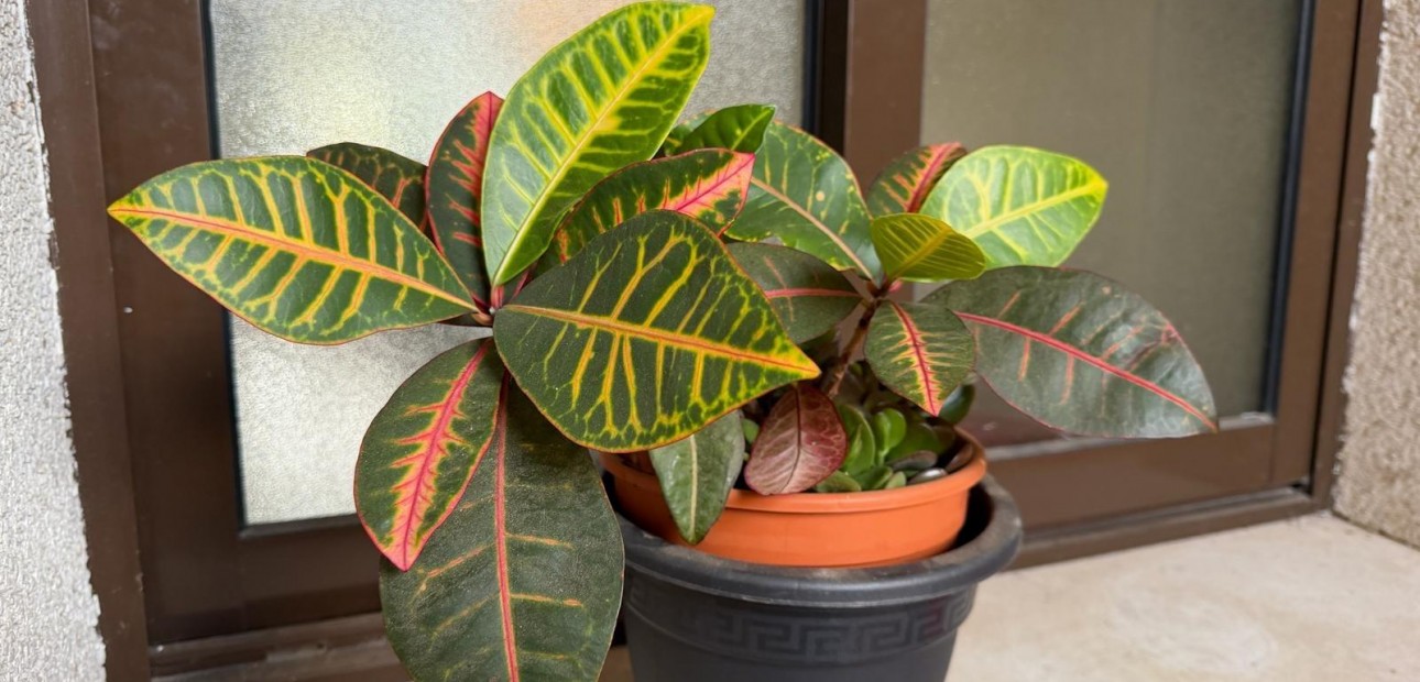 Herverkoop - Appartement / flat -
Orihuela Costa - Lomas de Cabo Roig