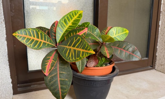 Herverkoop - Appartement / flat -
Orihuela Costa - Lomas de Cabo Roig