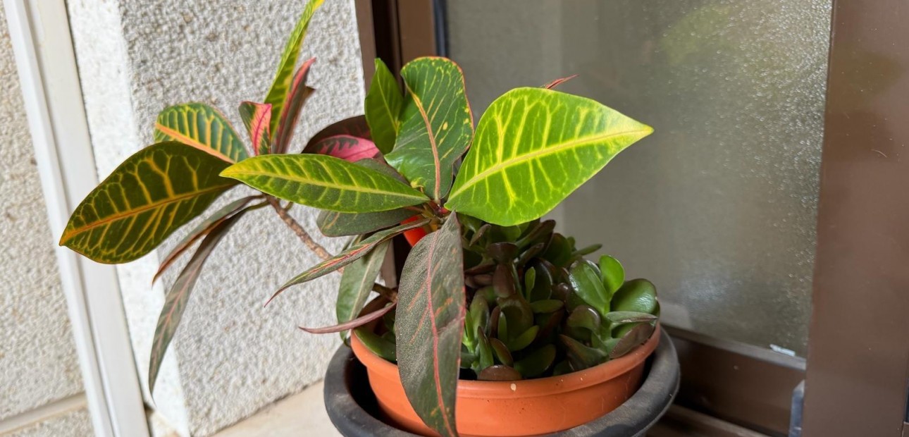 Herverkoop - Appartement / flat -
Orihuela Costa - Lomas de Cabo Roig