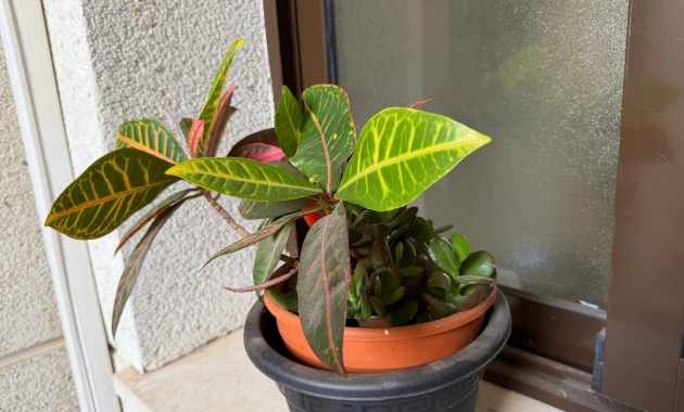 Herverkoop - Appartement / flat -
Orihuela Costa - Lomas de Cabo Roig