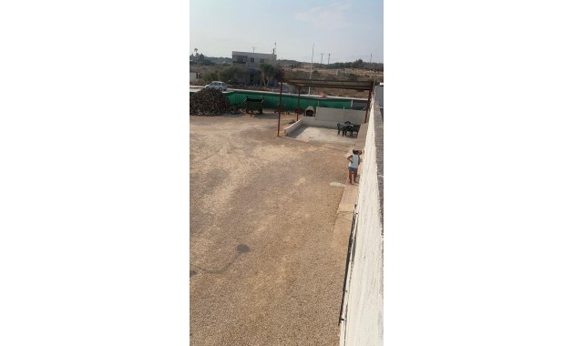 Herverkoop - Country House -
Guardamar del Segura - Pueblo