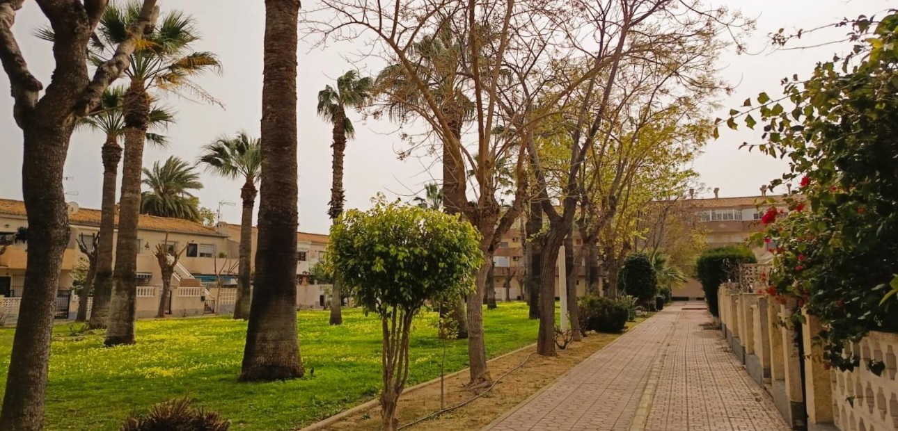 Herverkoop - Appartement / flat -
Orihuela Costa - La Regia