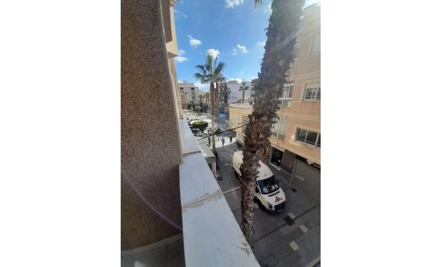 Venta - Apartamento / piso -
Torrevieja - Estacion de autobuses