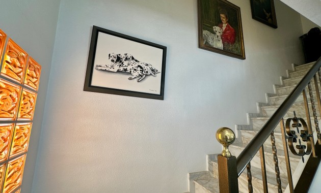 Venta - Town house -
Ciudad Quesada - Doña Pepa