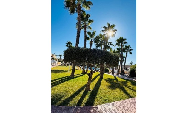 Venta - Terraced house -
Rojales - Centro de la Ciudad Quesada