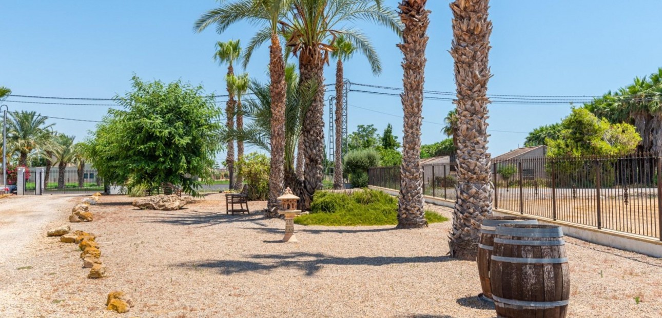 Venta - Country House -
Catral - Comunidad valenciana