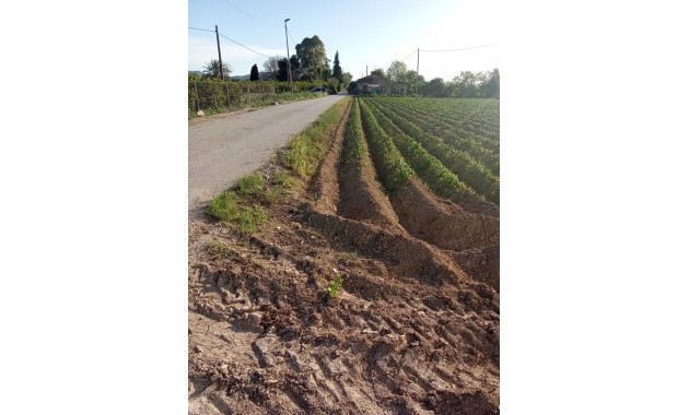 Venta - Country House -
Orihuela - Correntías Bajas