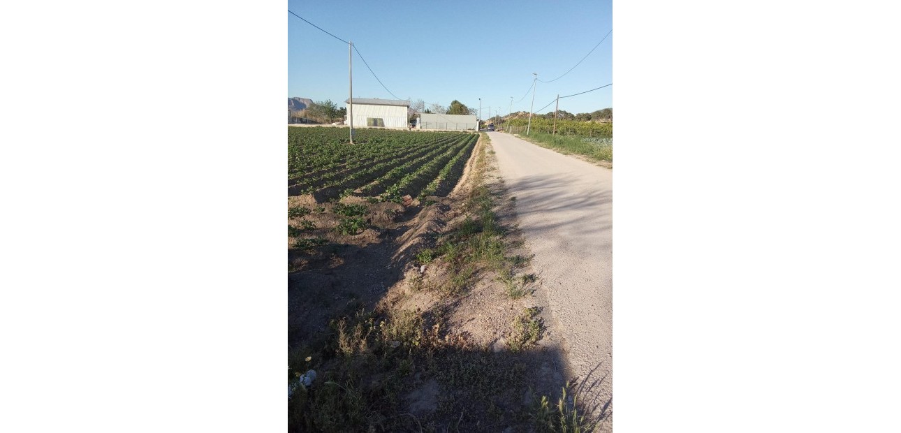Venta - Country House -
Orihuela - Correntías Bajas