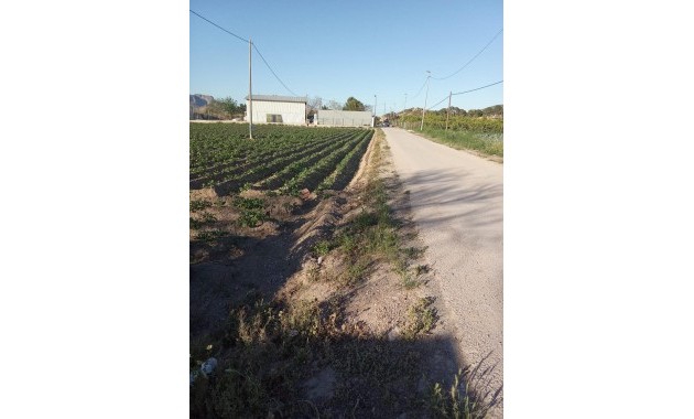 Venta - Country House -
Orihuela - Correntías Bajas